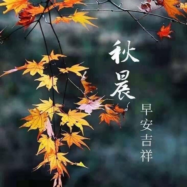 按我可連結至更清楚的圖片